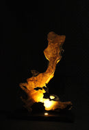 Oliva Lumina