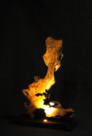 Oliva Lumina