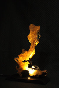 Oliva Lumina